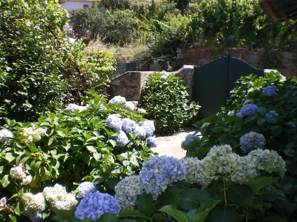 Casa Das Vendas Oda fotoğraf