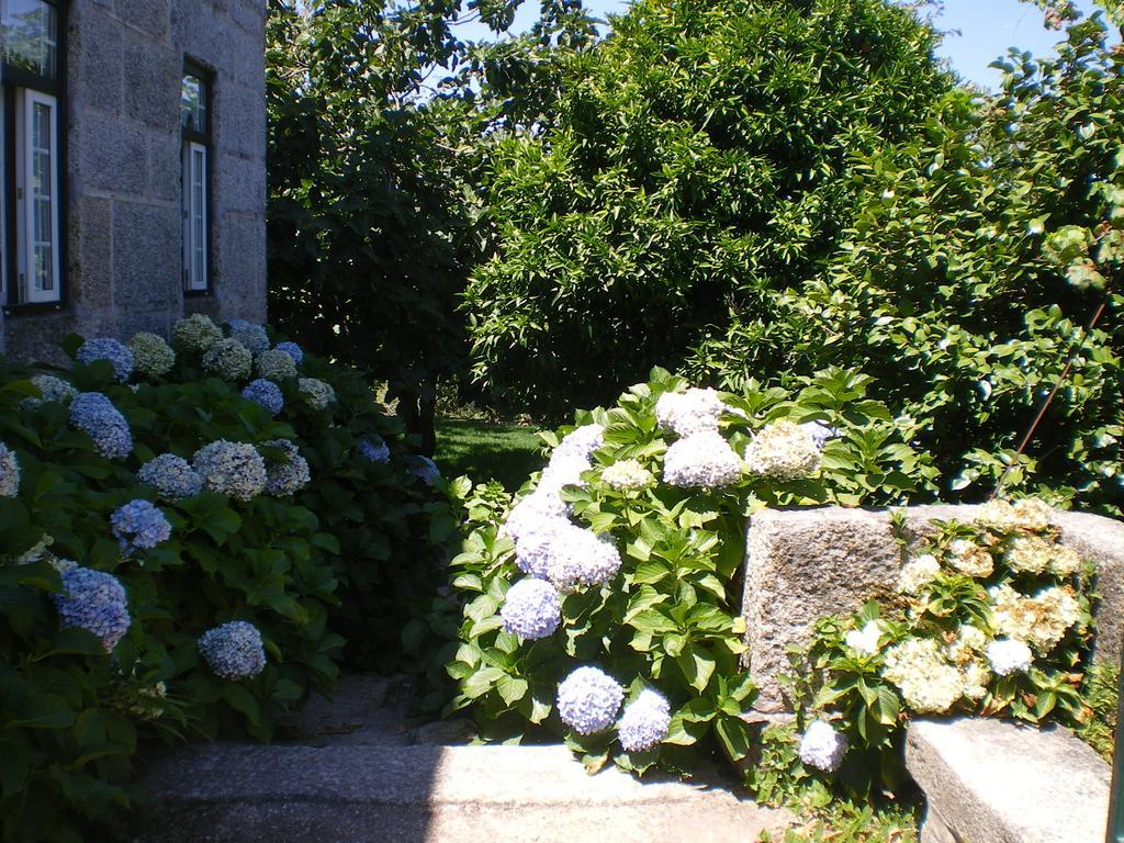 Casa Das Vendas Oda fotoğraf